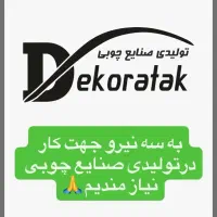 کارگر ساده و حرفه ای