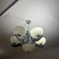 دوعدد لوستر سالم