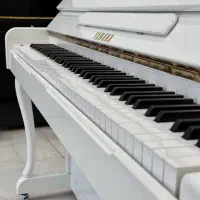 آموزش موسیقی ( خوانندگی ، نوازندگی ، آهنگسازی)|خدمات آموزشی|چناران, |دیوار