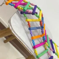 قفس