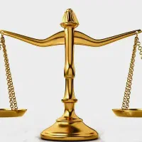 وکیل دادگستری، مشاور حقوقی