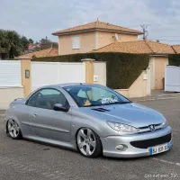 گلگیر wrc رنگ آرسی نقاشی rc صافکاری pdr سرامیک
