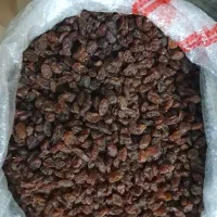 کشمش ا|خوردنی و آشامیدنی|زنجان, |دیوار