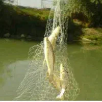 تور ماهیگیری