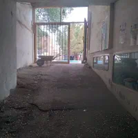 اجاره مغازه تقریبا۲۲۰ متر برخیابان|اجارهٔ مغازه و غرفه|تبریز, |دیوار