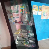 گنجه ام دی اف زیبا