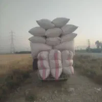 کاه درجه یک