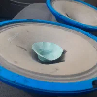 یک جفت میدرنج مکسیدر دهنه ۸