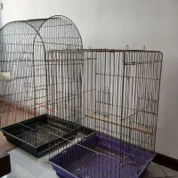 قفس پرنده برای فروش