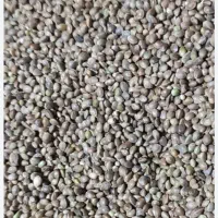 تخم کاهو. شادونه ریز|لوازم جانبی حیوانات|اصفهان, الهیه|دیوار