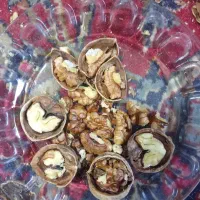 گردو|خوردنی و آشامیدنی|هشتگرد, تهران دشت|دیوار