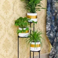 اسنتند گل رنگبندی مشکی، سفید