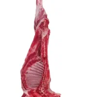 فروش گوشت گوسفندی