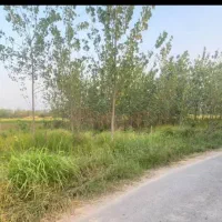 فروش فوری زمین باغی داخل طرح هادی