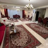 ۱۰۱متر/اصلی تهرانسر/چشم انداز ابدی/زیرقیمت منطقه