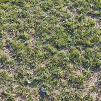 اکبیپ کارگری باغبانی