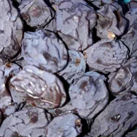 کشمش بوانات مویز دشمن زیاری کشمش بیضا|خوردنی و آشامیدنی|شیراز, شهرک مدرس|دیوار