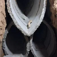 مغنی چاه کن|خدمات پیشه و مهارت|ورامین, ورامین|دیوار