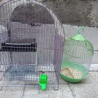 قفس