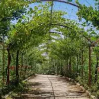 خانم جوان برای همکاری کارهای منزل|استخدام سرایداری و نظافت|تبریز, |دیوار