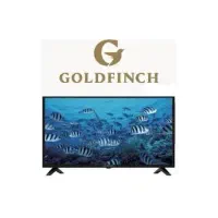 تلویزیون گلد فینچ۵۵اینچ