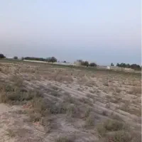 زمین کشاورزی گلخانه ای باغی|فروش زمین و ملک کلنگی|ورامین, ورامین|دیوار