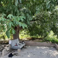زمین-زراعی-17000-متر