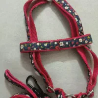 قلاده کتفی