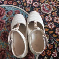 کفش مجلسی|کیف، کفش، کمربند|نیشابور, خط کاشمر|دیوار