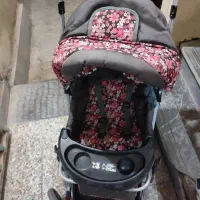 کالسکه طرح دلیجان|کالسکه و لوازم جانبی|بندرعباس, |دیوار