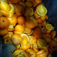 تفاله هویج .سیب .پرتقال .انار