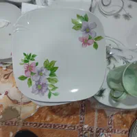 چینی مغصود