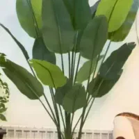 درختچه تنه دار|گل مصنوعی|تهران, مشیریه|دیوار