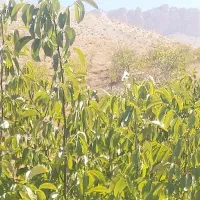 راهنمایی بیکاری و فراغت