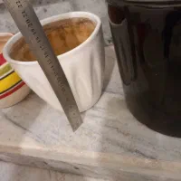 گلدان سفالی،فایبرگلاس،سرامیکی،پلاستیکی|گل و گیاه طبیعی|قدس, شهرقدس|دیوار