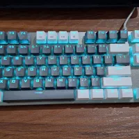 کیبورد گیمینگ|قطعات و لوازم جانبی رایانه|تبریز, |دیوار