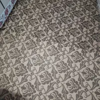 موکت در حد|موکت|دلند, |دیوار