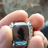 انگشتر فوق کلکسیونی شجر|کلکسیون اشیاء عتیقه|بوکان, |دیوار