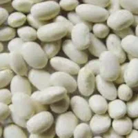 چهار باک کاه لوبیا