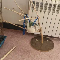 قفس پرنده بزرگ با درخچه و لانه|لوازم جانبی حیوانات|قم, شهرک قدس|دیوار