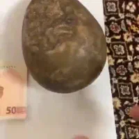 بار زیر با اصالت