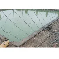 زمین باغی حاشیه جاده قدیم چناران|فروش زمین و ملک کلنگی|مشهد, رضاییه|دیوار