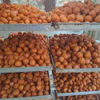 پخش زولبیا وبامیه درجه ۱ با بهترین مواد مصرفی|عمده‌فروشی|تهران, فلاح|دیوار