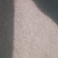 پودر ساقه کرفس کوهی.معطر|آرایشی، بهداشتی، درمانی|بروجرد, |دیوار