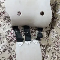 کمربند دیسک یا اتل کمر