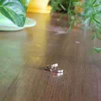 گوشواره طلا