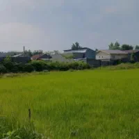 زمین-18-قصبی-جنوبی-بلوارجمهوری27-یا-کشاورز