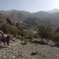 مغازه-در-باغدشت-باهنر