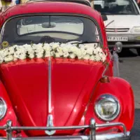 خدمات دیزاین ماشین عروس و دسته گل عروس|گل مصنوعی|میبد, |دیوار