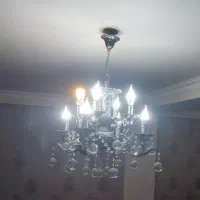 دو عددلوستر 8شاخه